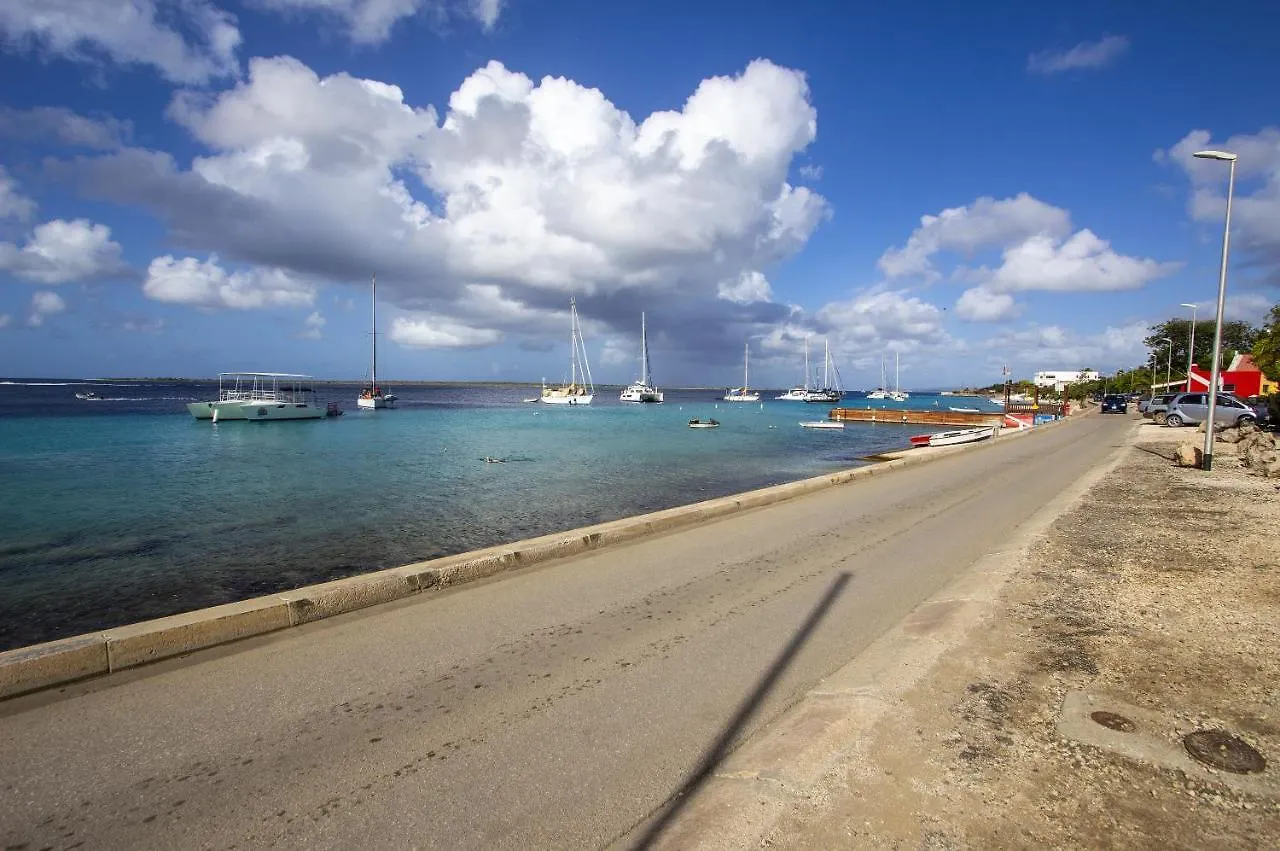 Seaside Apartment Seastar Kralendijk na wyspie Bonaire